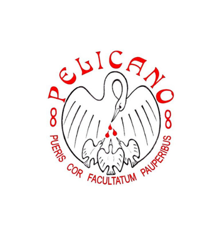 pelicano